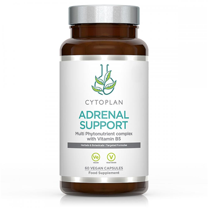Adrenal Support 60's