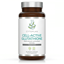 Cell-Active Glutathione (Formerly Liposomal Glutathione) 60's