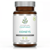 CytoProtect Kidneys 60's